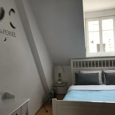 Duplex F4 Centre Historique Mülhausen